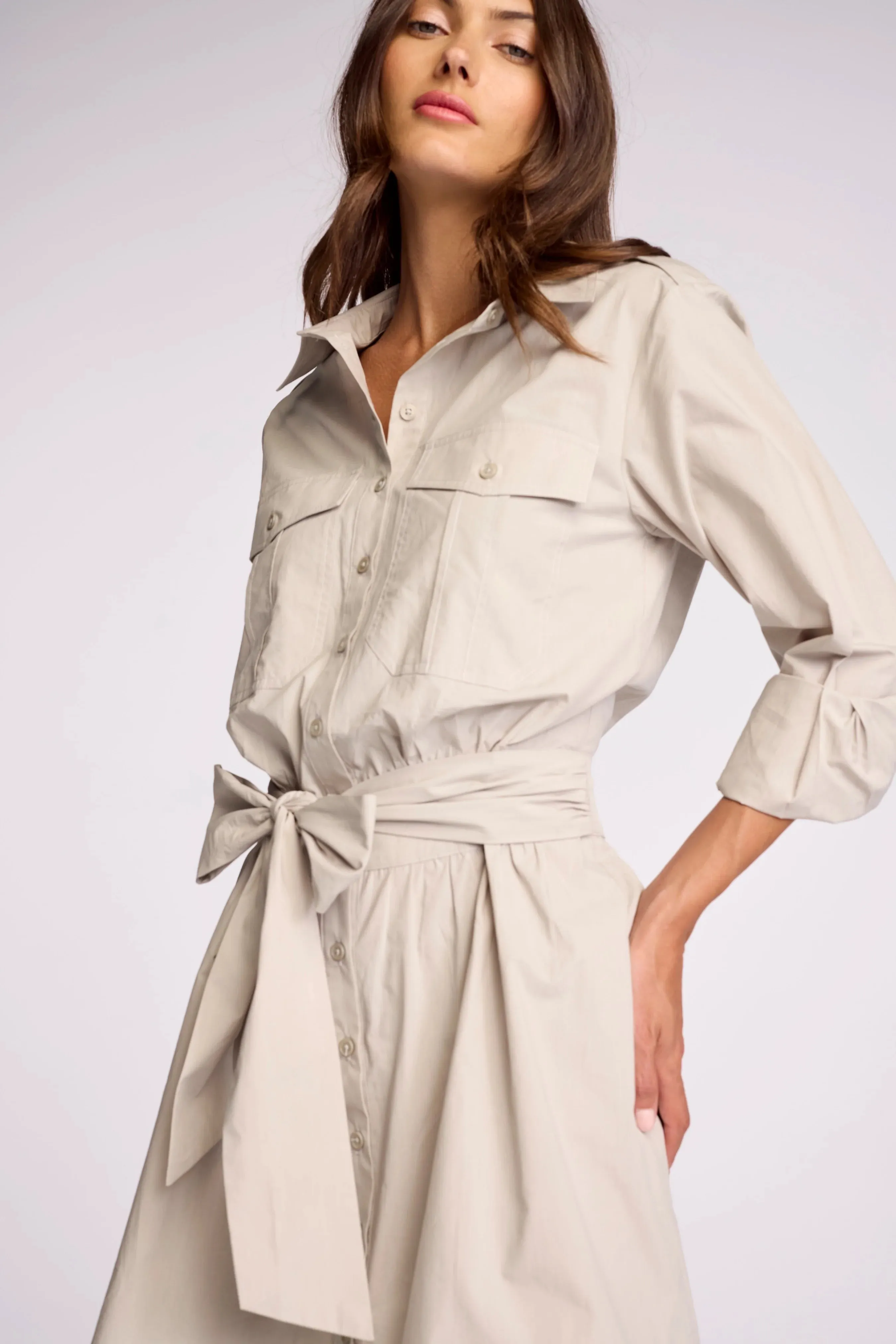 Asterin Dress