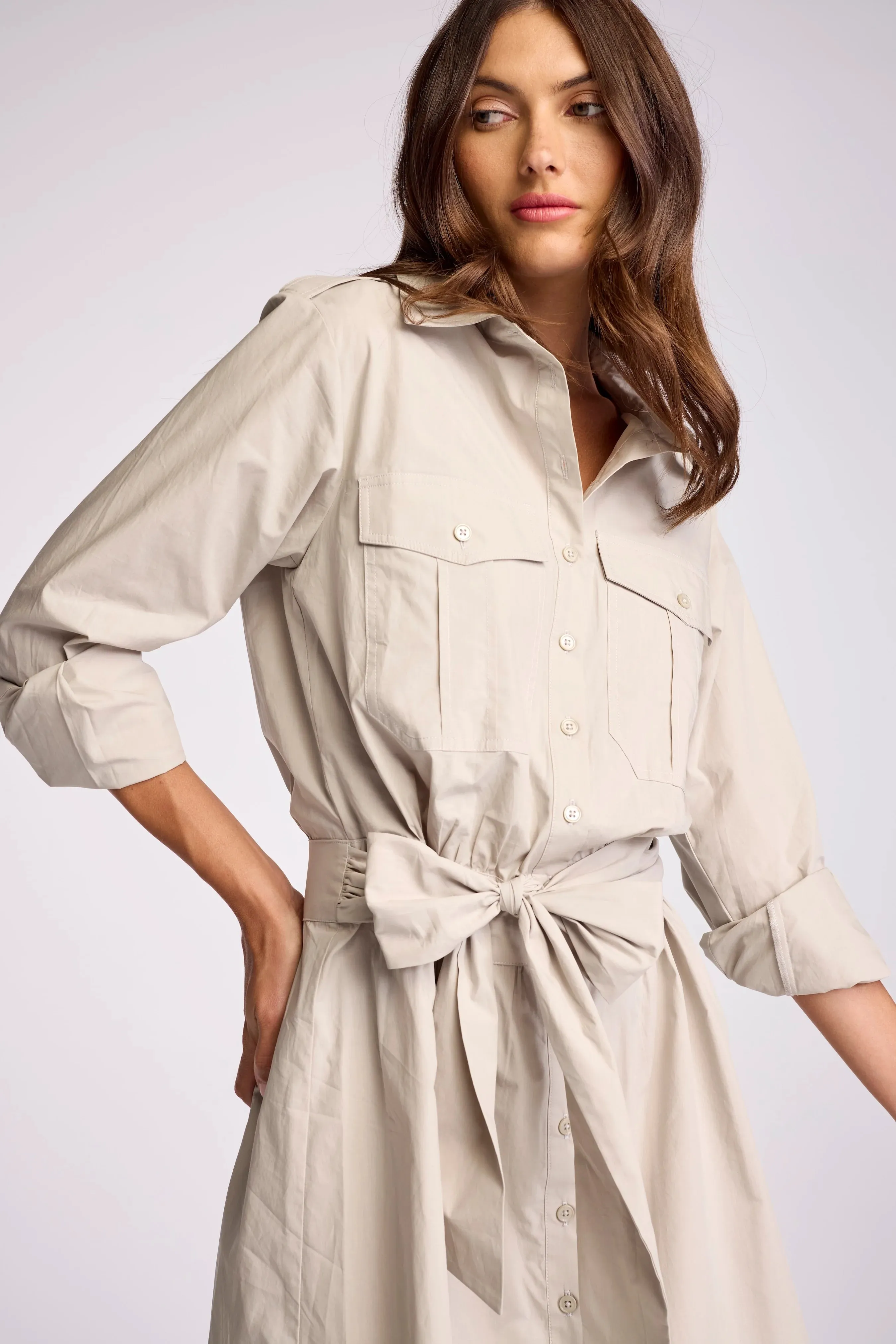 Asterin Dress