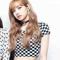 Checkered Black and White cropped tshirt