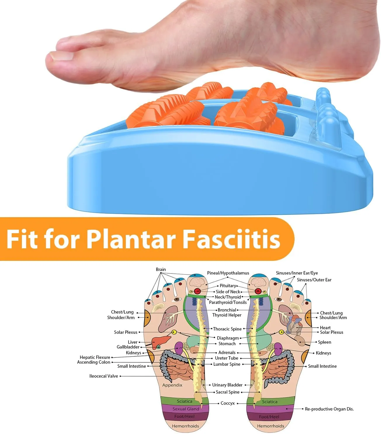 Dual Foot Massager Roller for Plantar Fasciitis Relief