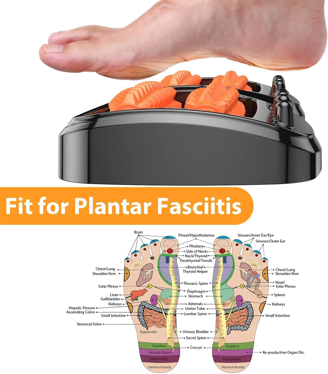Dual Foot Massager Roller for Plantar Fasciitis Relief