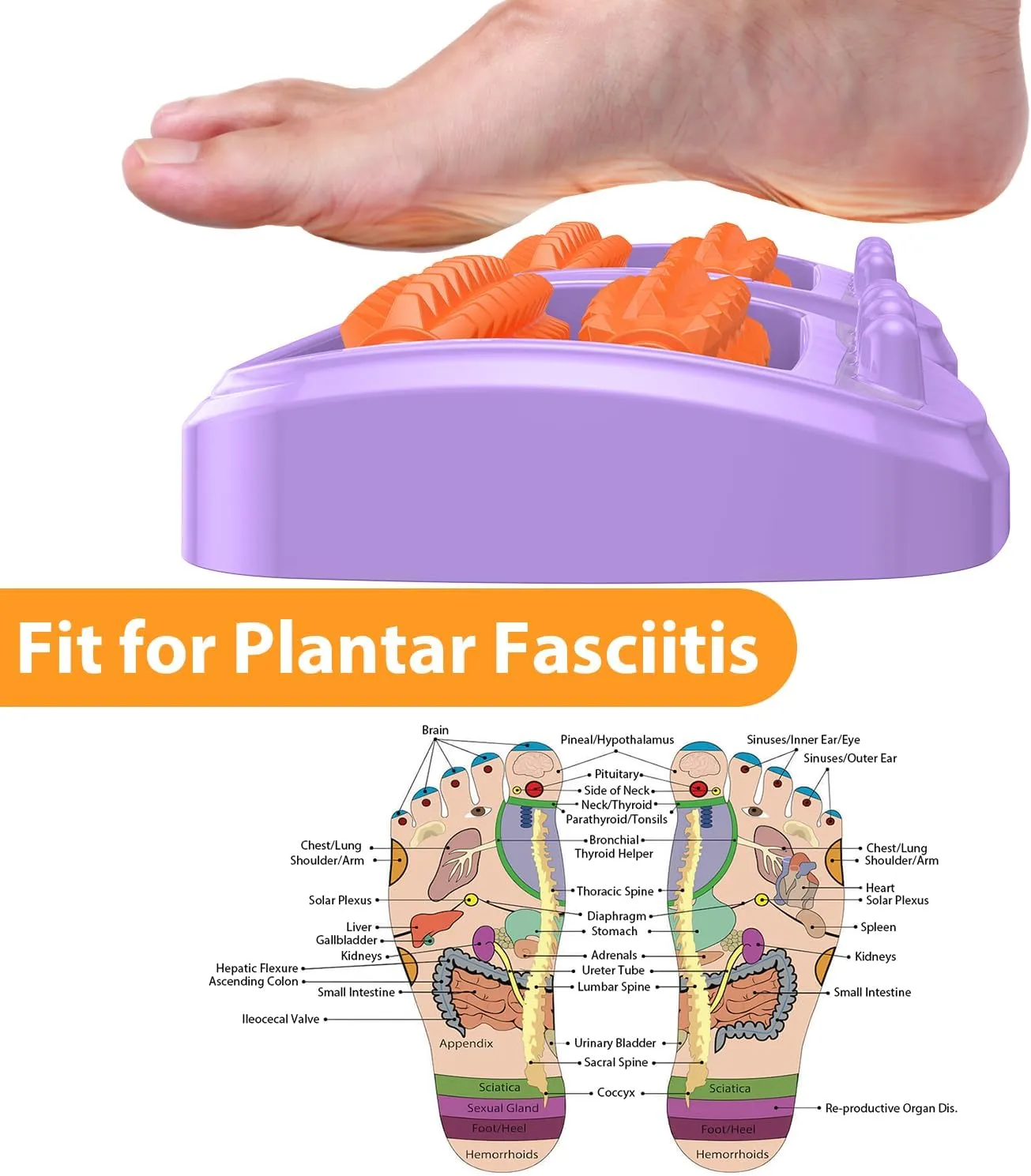 Dual Foot Massager Roller for Plantar Fasciitis Relief