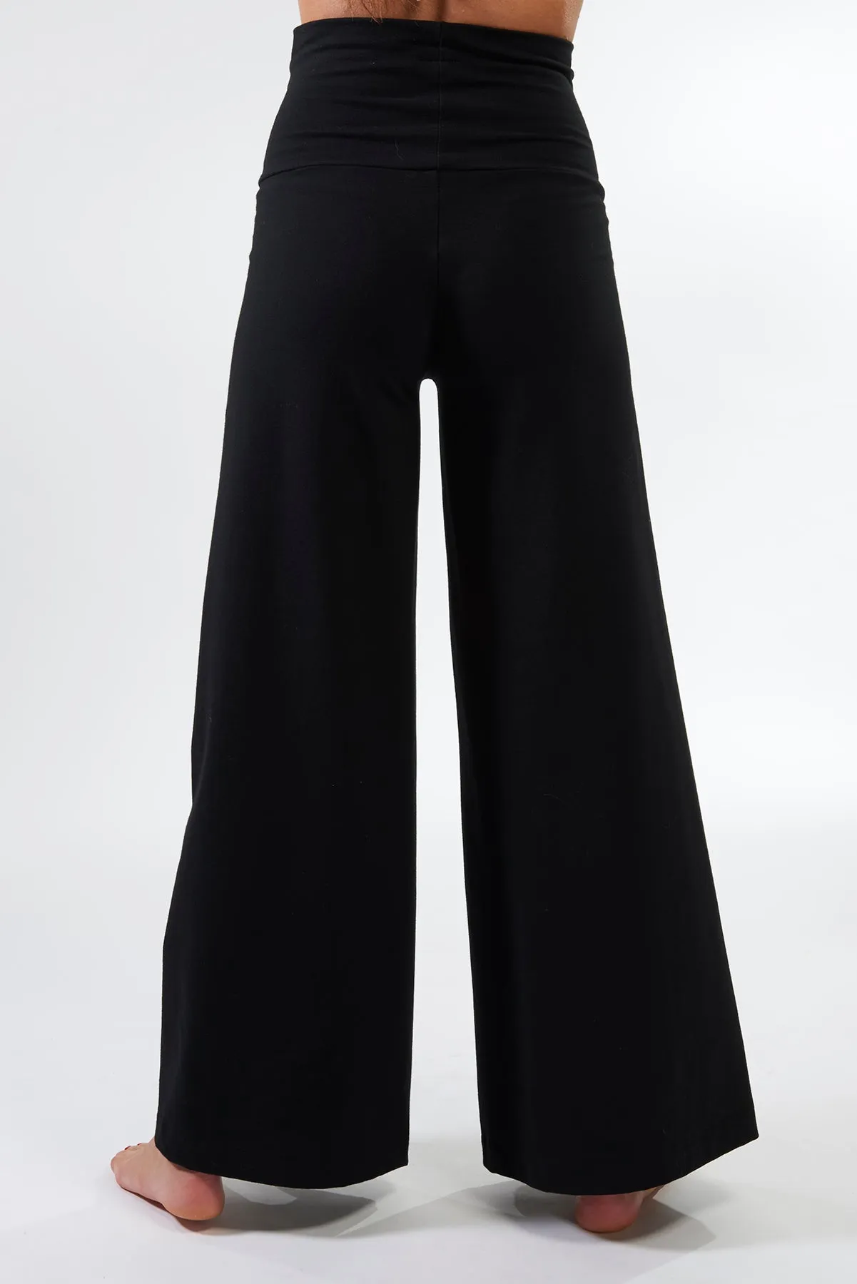 Palazzo Pant