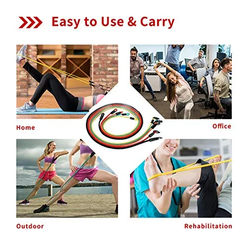 PROIRON Resistance Bands Set, Exercise Resistance Bands Men Women, Resistance Bands with Handles, Fitness Resistance Tubes, Door Anchor, Workout Bands Outdoor, Home Gym Training Equipment